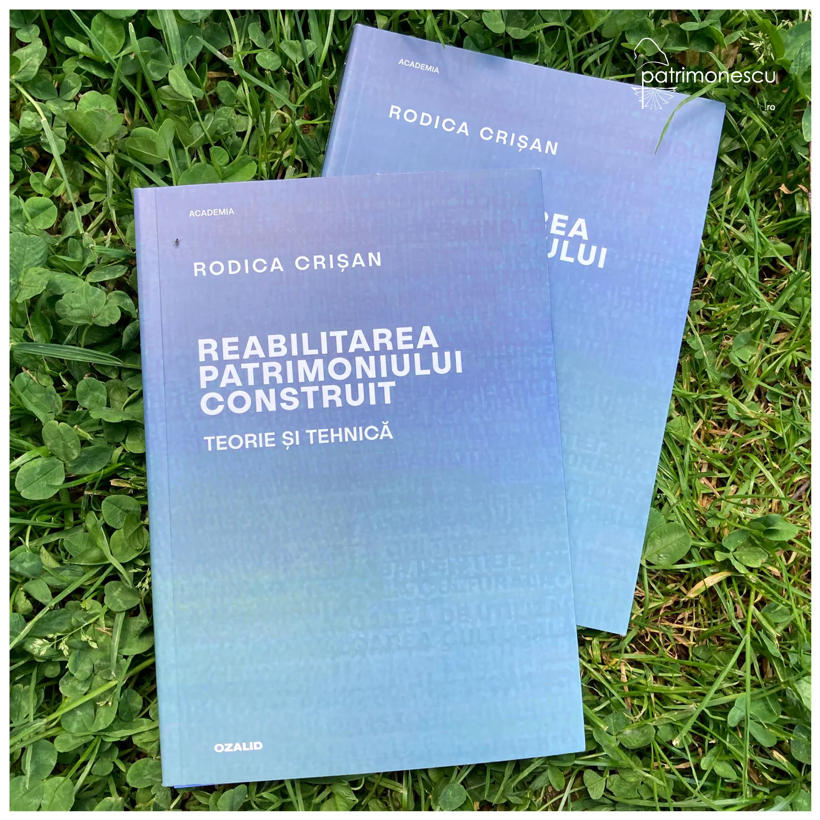 Reabilitarea patrimoniului construit. Teorie și tehnică – Positif Concept SRL/ Editura Ozalid