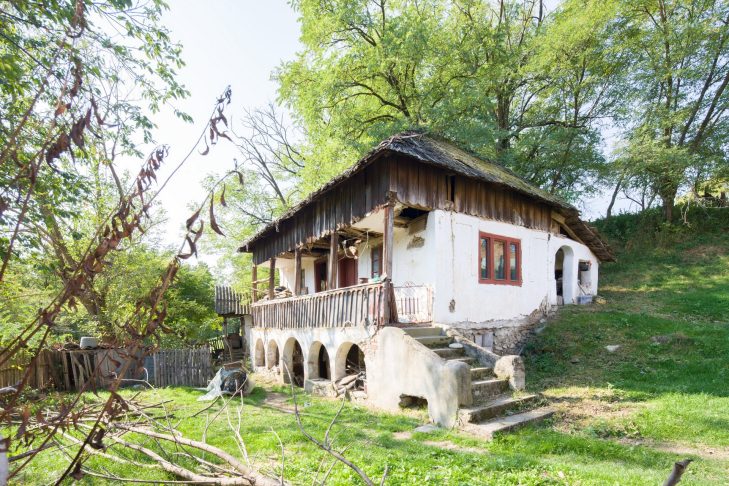 Pe Topolog în sus – o cercetare a arhitecturii vernaculare pe valea râului Topolog, jud. Argeș – Sacaliș Ruxandra PFA