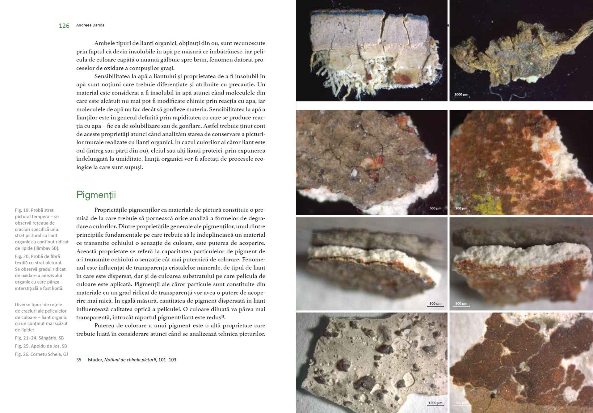 Caietele restaurării 2023 – Asociația Art Conservation Support (ACS)
