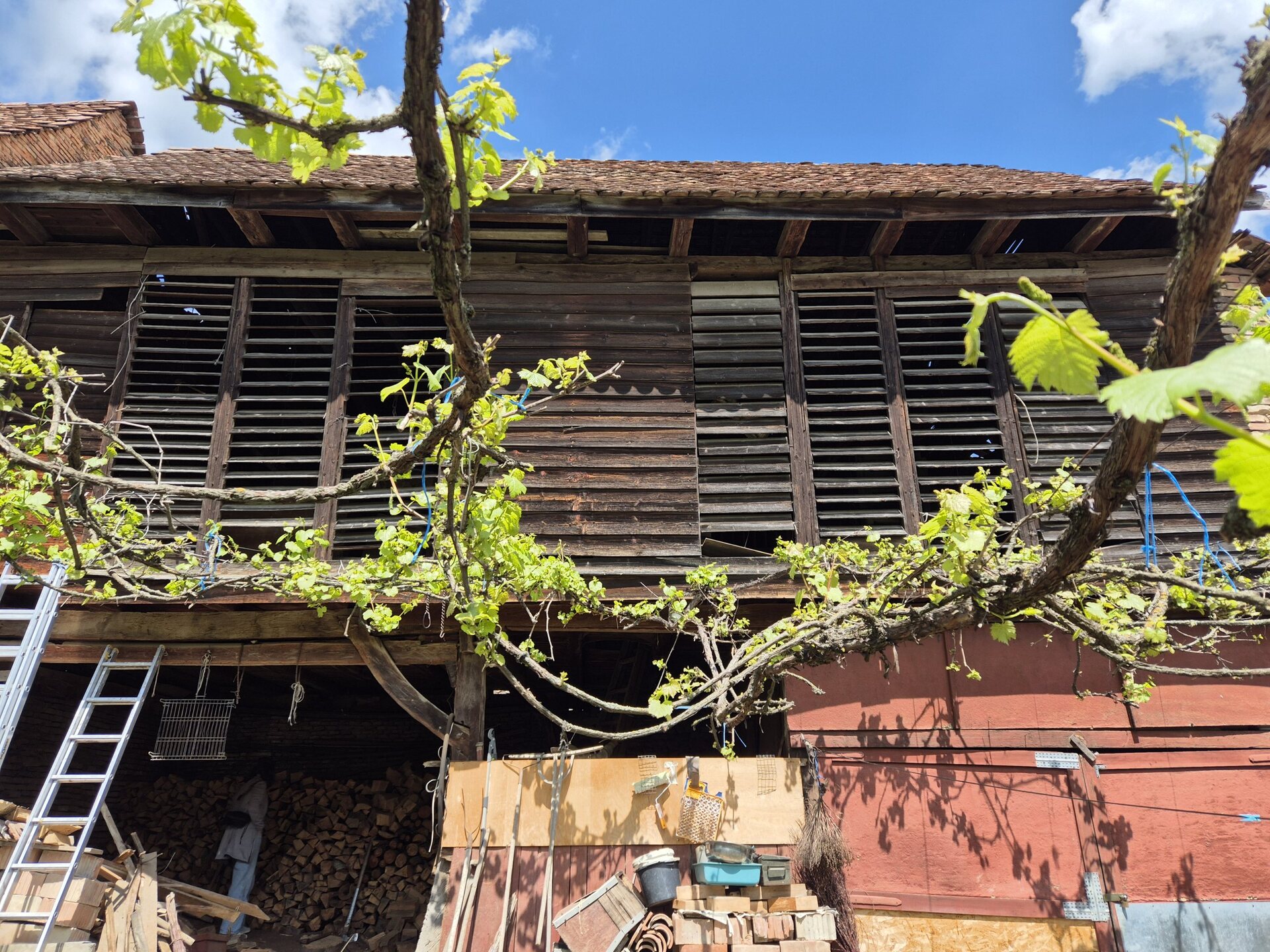 Arhitectura lemnului – Tradițional înseamnă actual – Filiala Teritorială Mureș a OAR