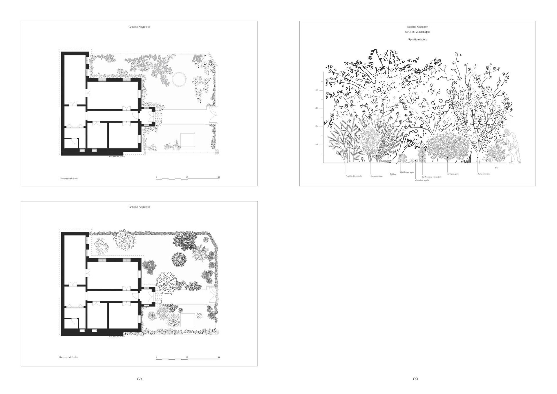 Grădini de București. Proiect de cercetare – Identitate și recuperare – SYAA ARHITECTURA SRL