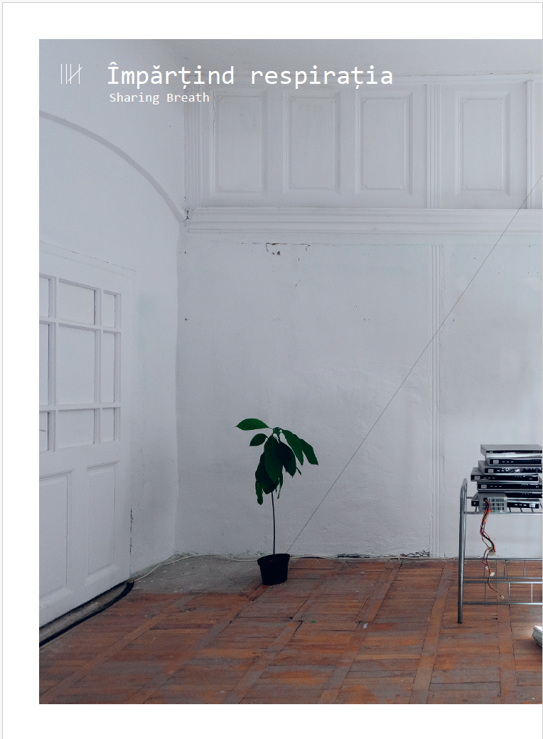 What about you – Liliana Mercioiu Popa – Editura CONTRASENS