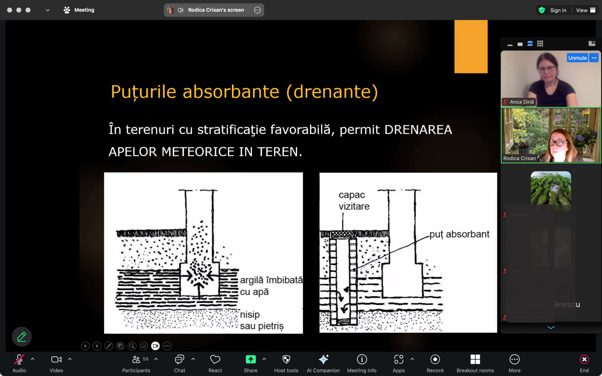 Relația dintre arhitectură  și componentele artistice, la monumentele istorice (III) – Art Conservation Support