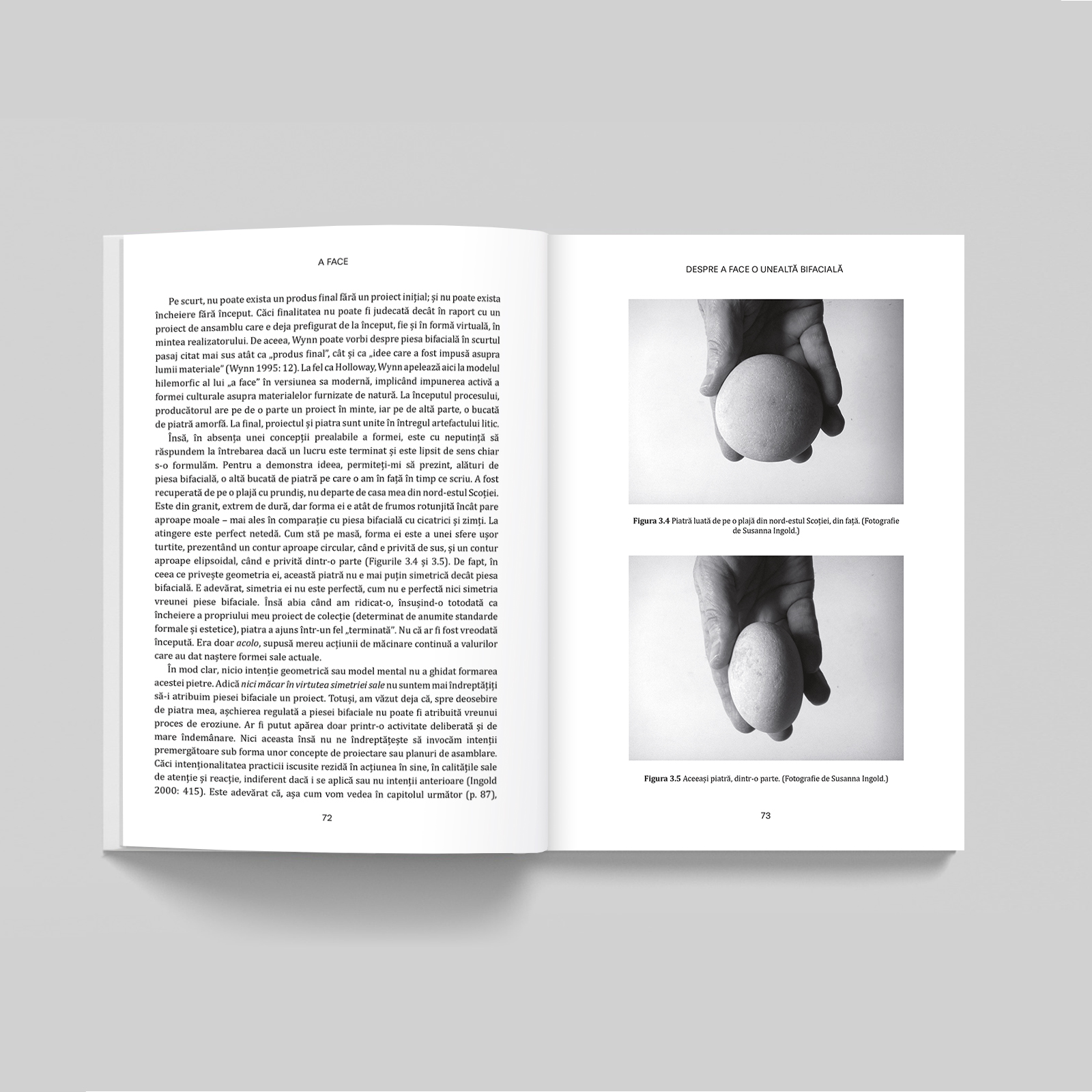 Traducere „A FACE. Antropologie, arheologie, artă și arhitectură” de Tim Ingold – igloo media