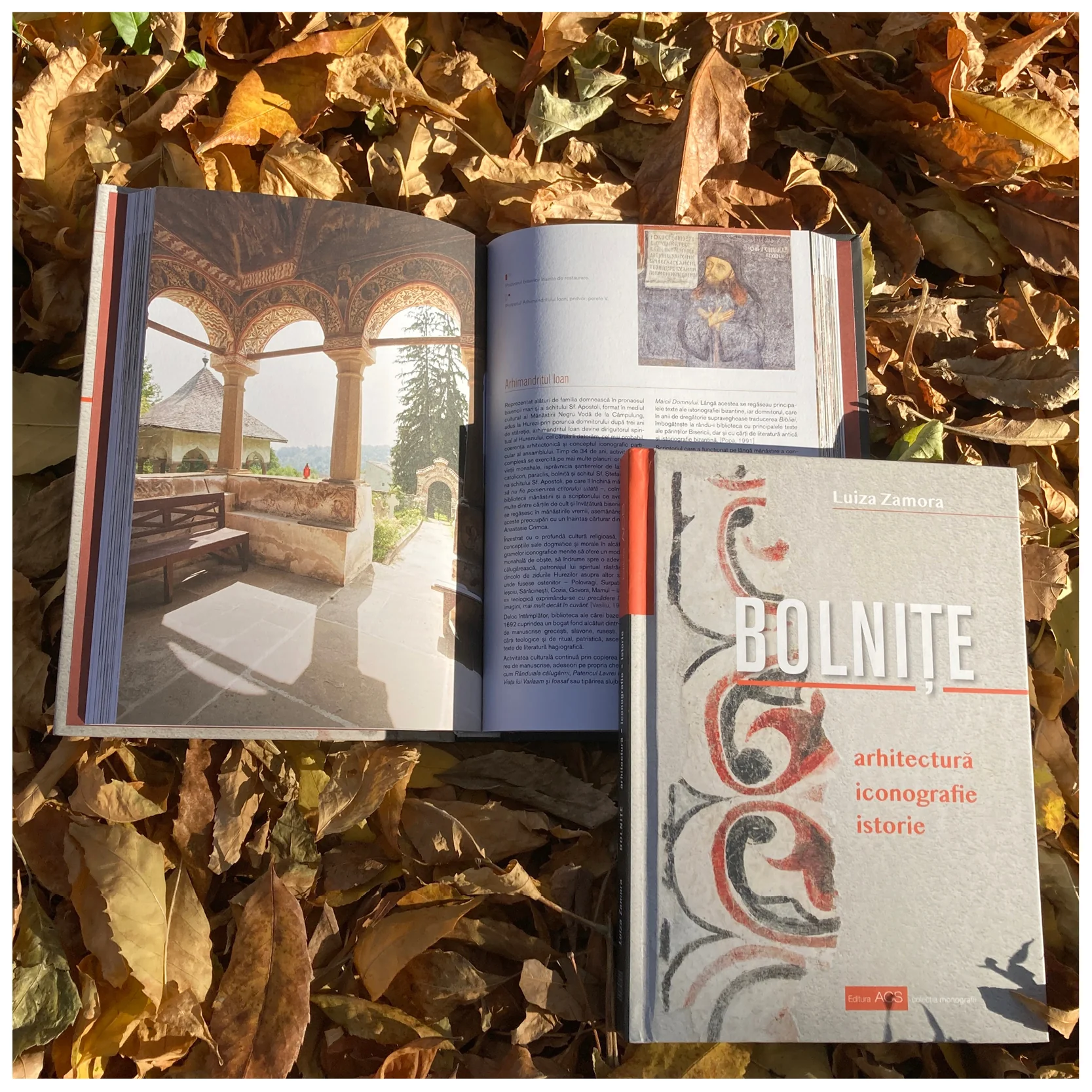 Bolnițe. Arhitectură, iconografie, istorie – Asociația Art Conservation Support (ACS)